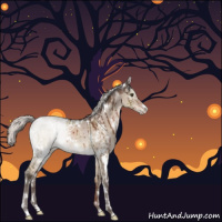 Horse Color:White Spotted Silver Brown Dun Mushroom Sabino Brindle