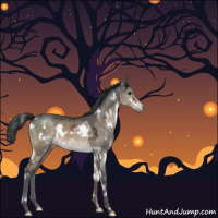 Horse Color:White Spotted Brown Ice Dun Mushroom 