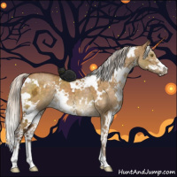 Horse Color:White Spotted Silver Buckskin Ice Dun Sabino Brindle
