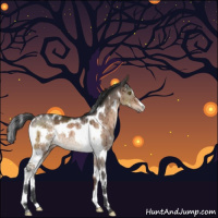 Horse Color:White Spotted Brown Dun Mushroom Tobiano Rabicano Brindle 
