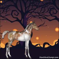 Horse Color:White Spotted Silver Brown Dun Sabino Brindle 