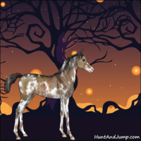 Horse Color:White Spotted Liver Red Dun Sabino Brindle