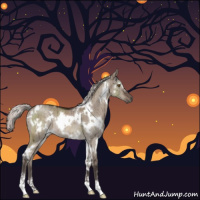 Horse Color:White Spotted Silver Brown Dun Mushroom Sabino Rabicano Brindle 
