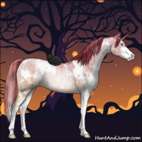 Horse Color:White Spotted Buckskin Pearl Dun Sabino Rabicano Brindle 