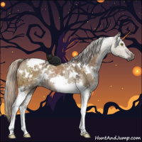 Horse Color:Gray White Spotted Silver Buckskin Ice Dun Tobiano Rabicano Brindle