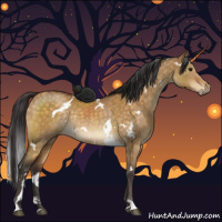 Horse Color:White Spotted Buckskin Dun Sabino Rabicano Brindle 