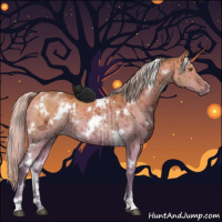 Horse Color:White Spotted Silver Buckskin Ice Dun Sabino Rabicano Brindle 