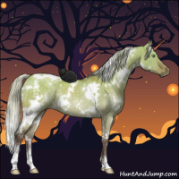 Horse Color:White Spotted Silver Buckskin Dun Sabino Rabicano Brindle 