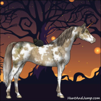 Horse Color:White Spotted Chocolate Palomino Ice Dun Sabino Brindle