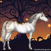 Horse Color:White Spotted Silver Buckskin Dun Sabino Brindle