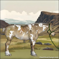 Horse Color:White Spotted Chocolate Palomino Dun Brindle