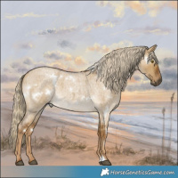 Horse Color:White Spotted Chocolate Palomino Roan Dun Brindle