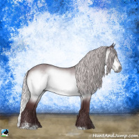 Horse Color:Chocolate Silver Brown Chinchilla Sabino Rabicano