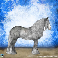Horse Color:Silver Blue Onyx Chinchilla Ice Sabino Rabicano 
