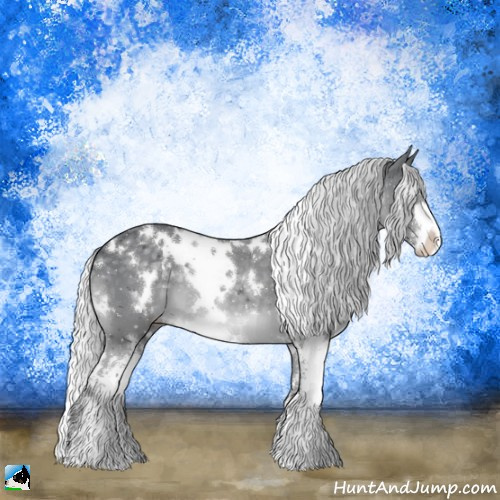Horse Color:White Spotted Silver Black Chinchilla Sabino Appaloosa 