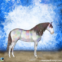 Horse Color:Nacre Chocolate Brown Chinchilla Onyx Sabino Rabicano 