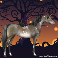 Horse Color:White Spotted Brown Dun Brindle 