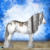 Horse Color:Liver Red Dun Sabino Rabicano Brindle 