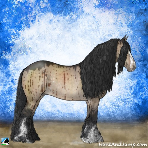 Horse Color:Brown Dun Sabino Rabicano Brindle 