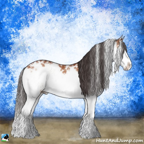 Horse Color:Bay Onyx Sabino Splash 