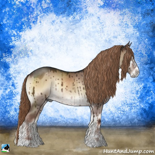 Horse Color:Liver Red Dun Onyx Sabino Rabicano Brindle 