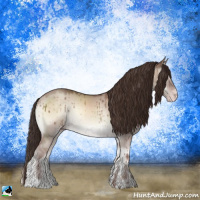 Horse Color:Classic Champagne Onyx Mushroom Sabino Rabicano Brindle 