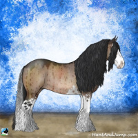 Horse Color:Brown Dun Mushroom Sabino Splash Rabicano Brindle 