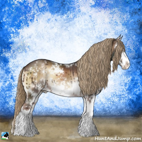 Horse Color:Liver Red Onyx Sabino Rabicano 