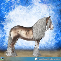 Horse Color:Liver Red Onyx Mushroom Sabino Rabicano 