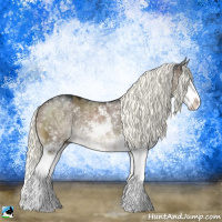 Horse Color:Liver Red Dun Mushroom Sabino Splash Rabicano 