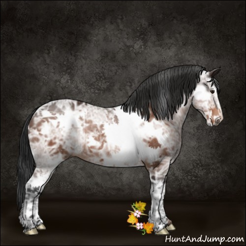 Horse Color:Brown Ice Sabino Frame Rabicano 
