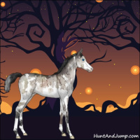 Horse Color:White Spotted Brown Ice Dun Mushroom Splash Brindle 