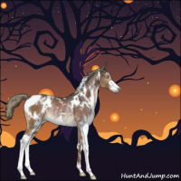Horse Color:Gray White Spotted Liver Chestnut Ice Mushroom Sabino Rabicano 