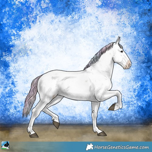 Horse Color:Nacre Chocolate Silver Smoky Grullo Onyx Sabino 