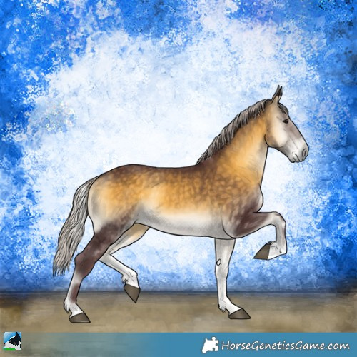 Horse Color:Chocolate Silver Buckskin Onyx Sabino