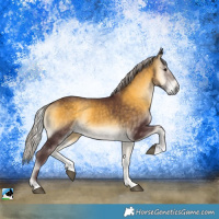 Horse Color:Chocolate Silver Buckskin Onyx Sabino