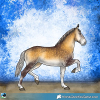 Horse Color:Chocolate Silver Buckskin Onyx Sabino