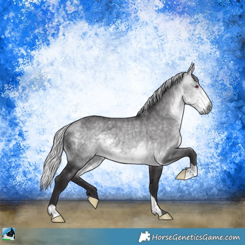 Horse Color:Silver Buckskin Chinchilla 