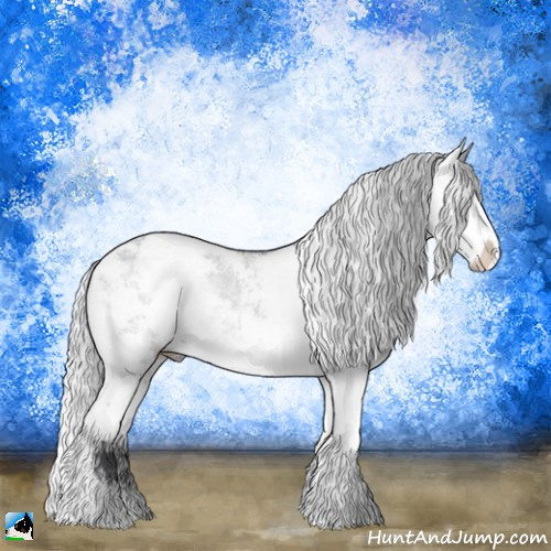 Horse Color:Silver Grullo Chinchilla Sabino Rabicano 