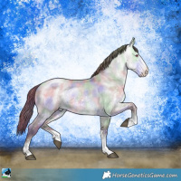 Horse Color:Nacre Chocolate Buckskin Chinchilla Dun Sabino Rabicano