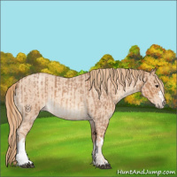 Horse Color:Red Roan  and Gold Champagne Roan 