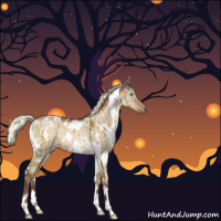 Horse Color:Gray White Spotted Liver Red Dun Pearl Mushroom Brindle