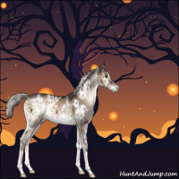 Horse Color:White Spotted Liver Red Dun Onyx Mushroom Brindle 