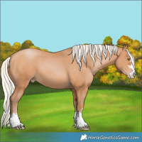 Horse Color:Silver Bay Pearl 