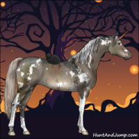 Horse Color:Gray White Spotted Silver Brown Ice Dun Tobiano 