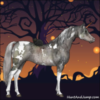 Horse Color:Gray Platinum White Spotted Silver Brown Ice Dun Tobiano Brindle