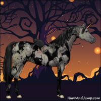 Horse Color:Gray Void White Spotted Grullo Ice Tobiano Brindle 