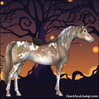 Horse Color:White Spotted Liver Red Dun Sabino Brindle 