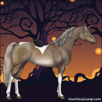 Horse Color:Silver Brown Dun Tobiano Rabicano Brindle 