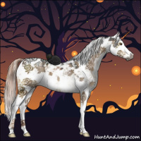 Horse Color:Gray Liver Red Dun Ice Sabino 